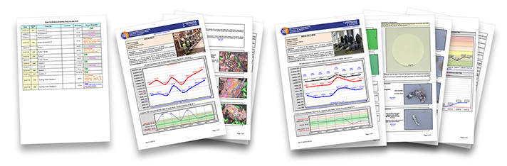 R&T Reports